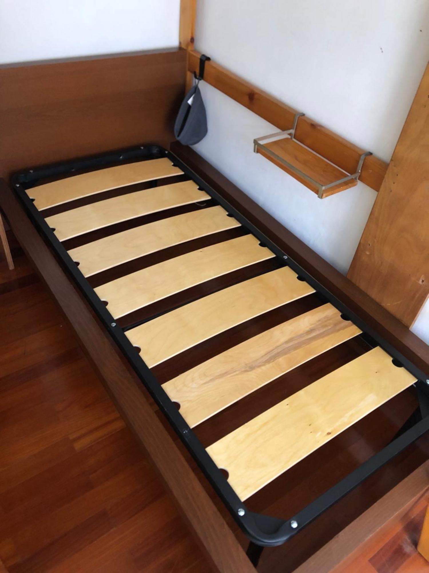 Campus Apartment تورينو المظهر الخارجي الصورة